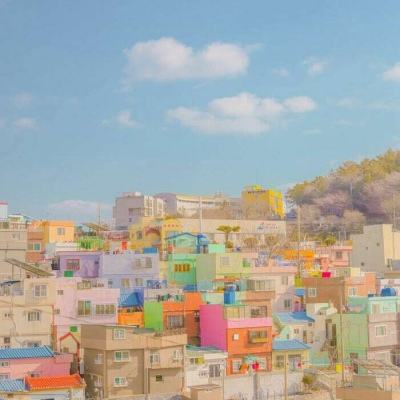 博鱼综合体育官网登录