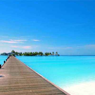 星空XK官方入口